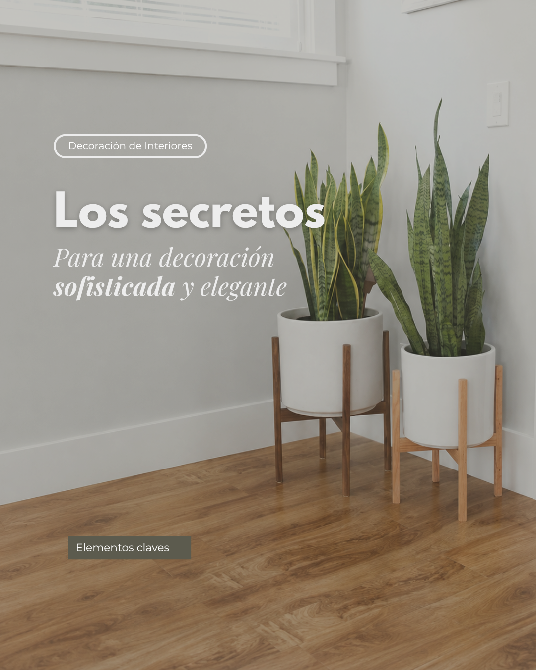Plantilla ArquiFeed: decoración de interiores